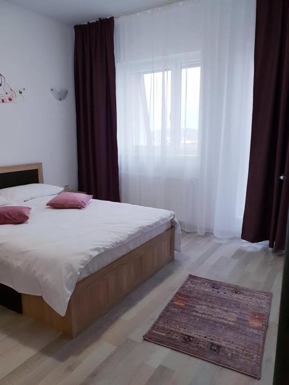 Friendly Rentals Vivamus Braszów Zewnętrze zdjęcie